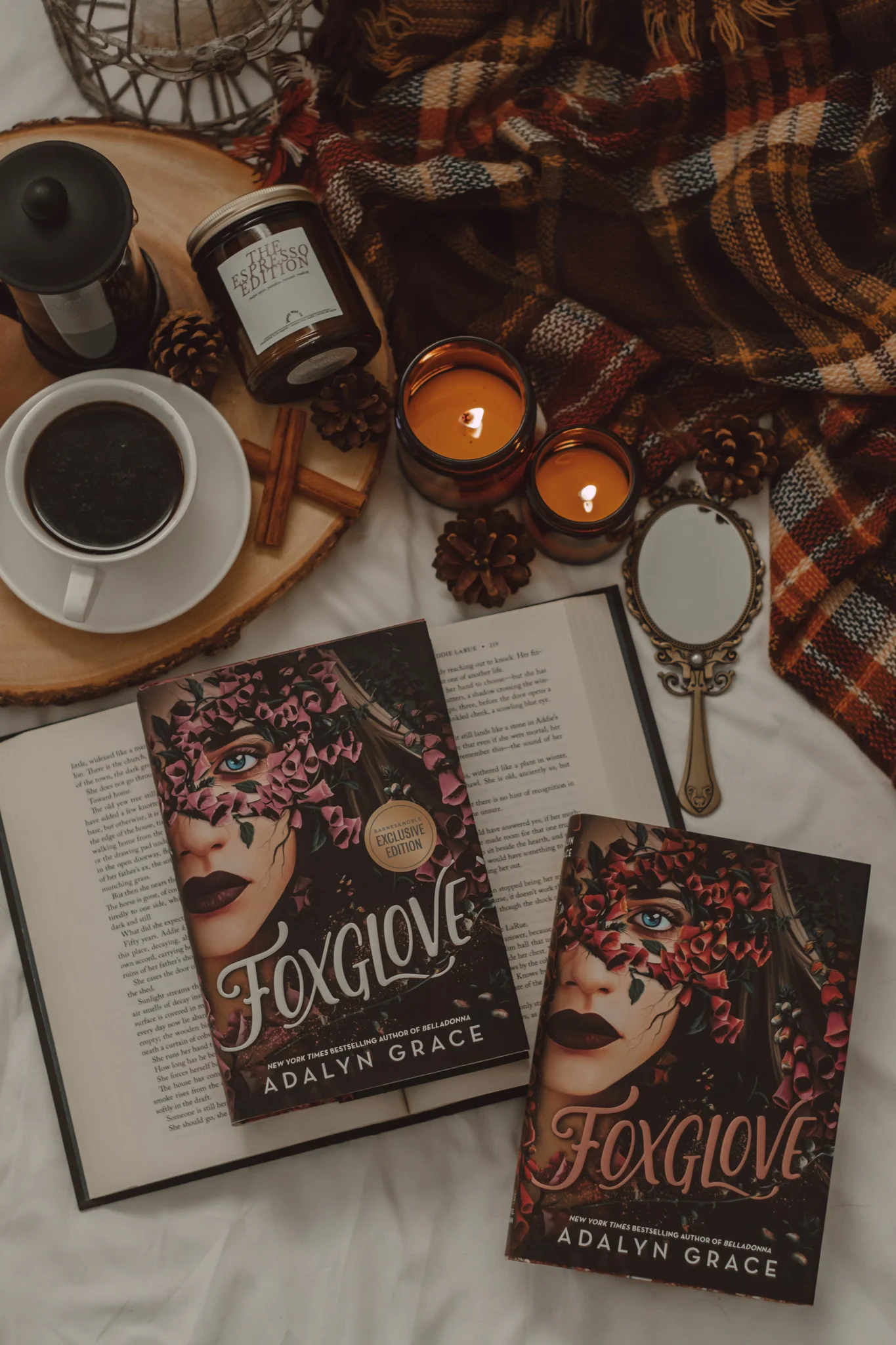 20 Bookish Phrases to Know Before You Join Bookstagram by The Espresso Edition cozy bookish blog
