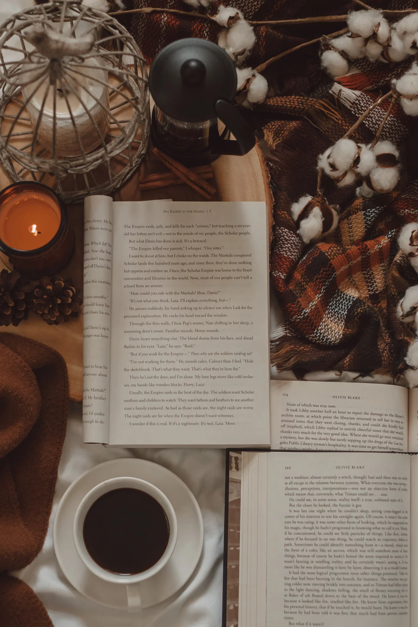 Why “Bookshops & Bonedust” is the Next Cozy Fantasy You Need to Read by The Espresso Edition cozy bookish blog