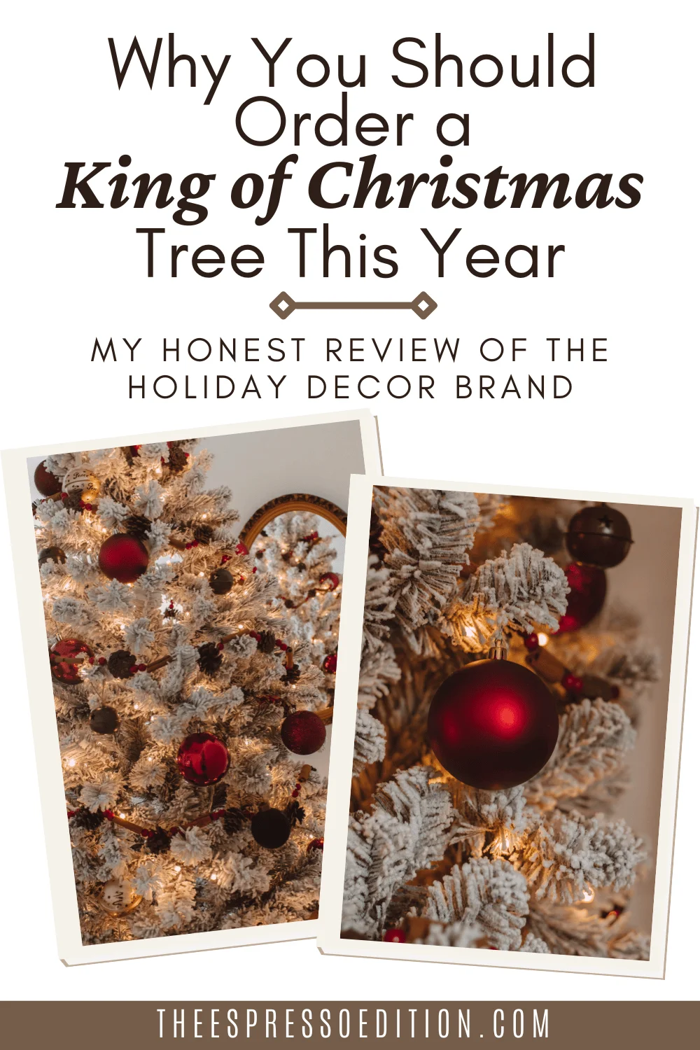 Why You Should Order a King of Christmas Tree This Year by The Espresso Edition cozy lifestyle blog