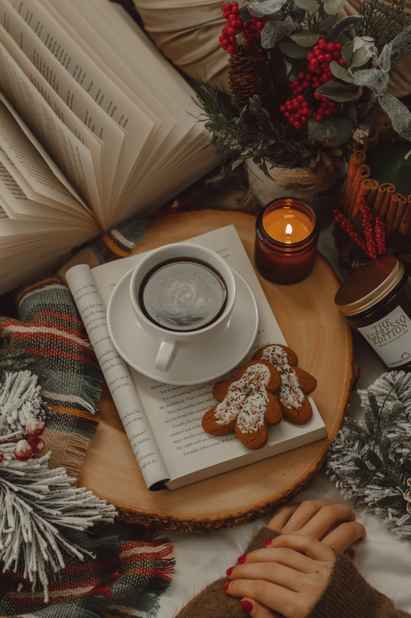 20 Books I Read in December 2023 and Their Ratings by The Espresso Edition cozy bookish blog