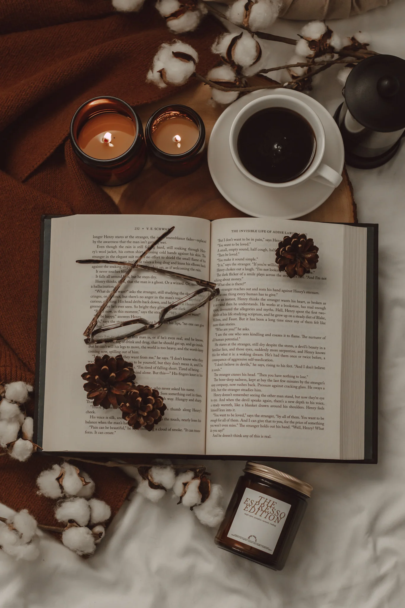 12 Books I Read in February 2024 and Their Ratings by The Espresso Edition cozy bookish blog