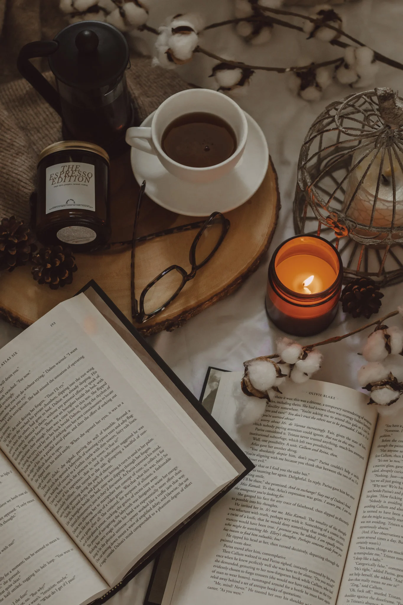 July 2024 New Book Releases by The Espresso Edition cozy bookish blog