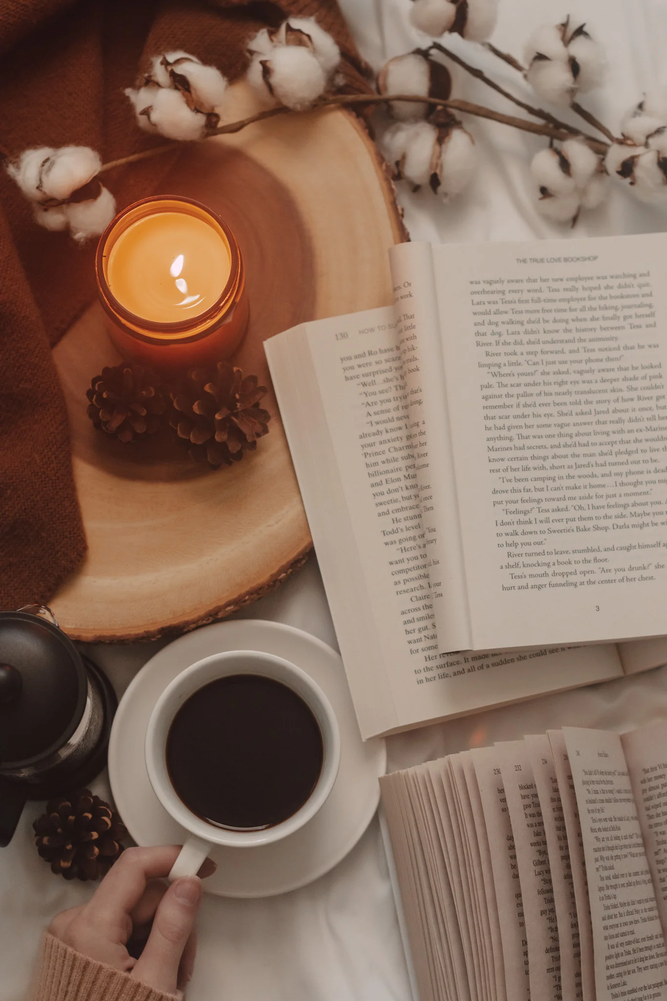 9 Books I Read in August 2024 and Their Ratings by The Espresso Edition cozy bookish blog