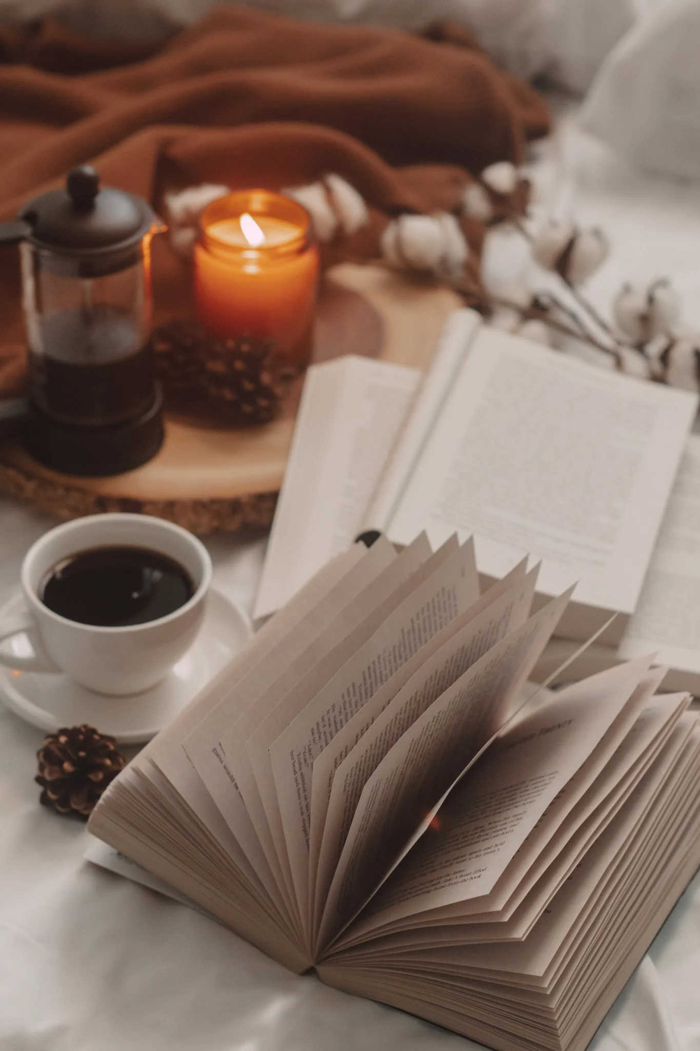 9 Books I Read in August 2024 and Their Ratings by The Espresso Edition cozy bookish blog