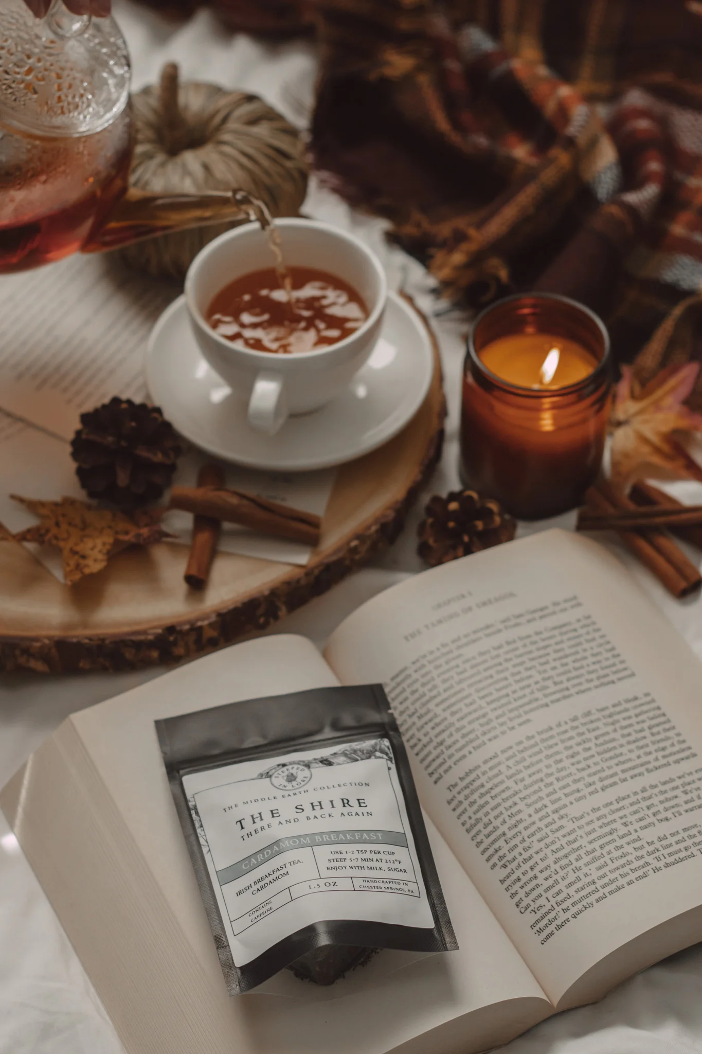 September 2024 New Book Releases by The Espresso Edition cozy bookish blog