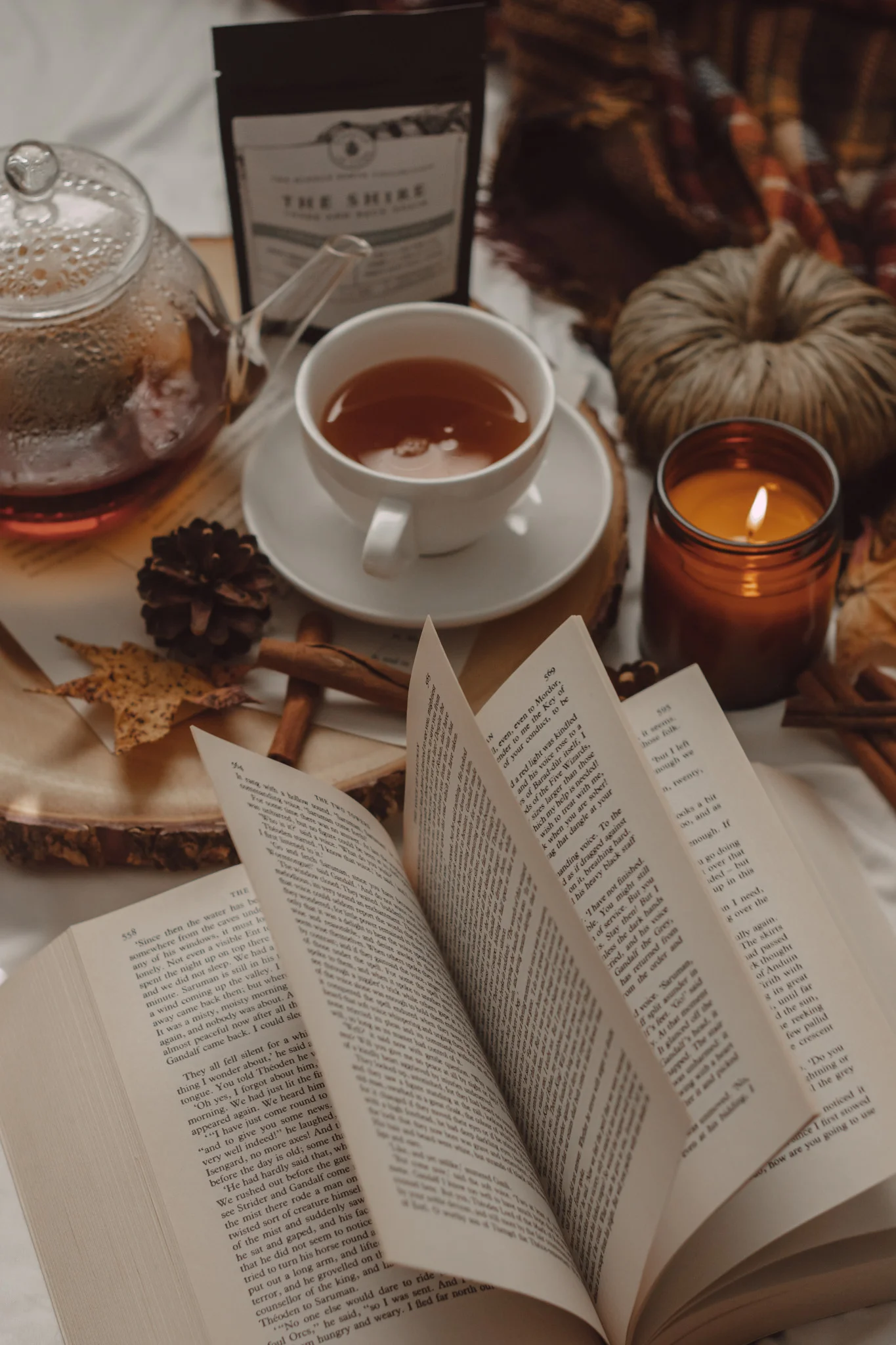 September 2024 New Book Releases by The Espresso Edition cozy bookish blog