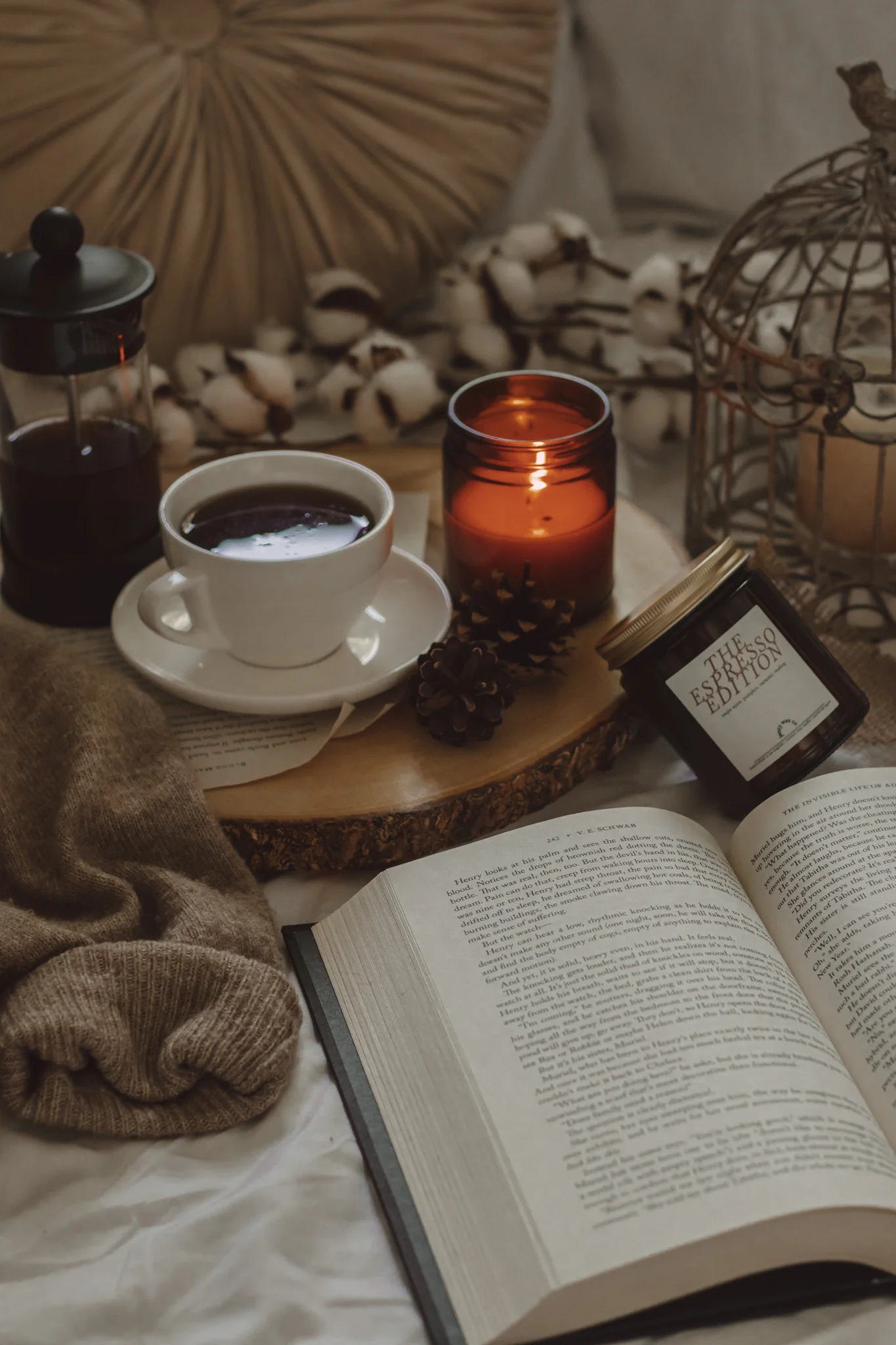 August 2024 New Book Releases by The Espresso Edition cozy bookish blog