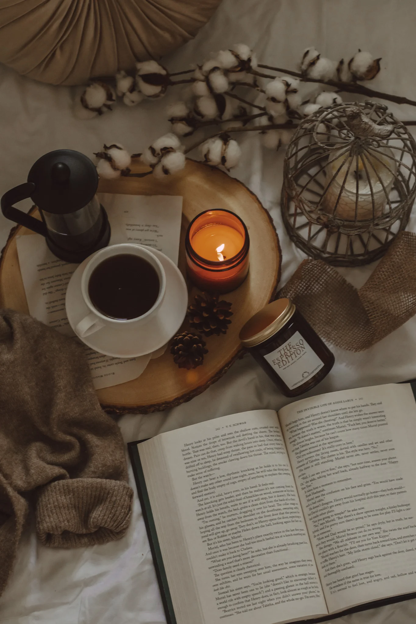 August 2024 New Book Releases by The Espresso Edition cozy bookish blog