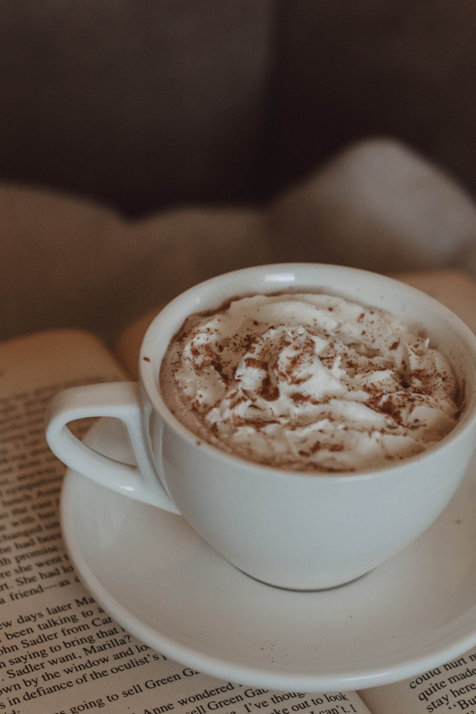 close-up shot of mug filled with whipped cream and cinnamon sprinkled on top