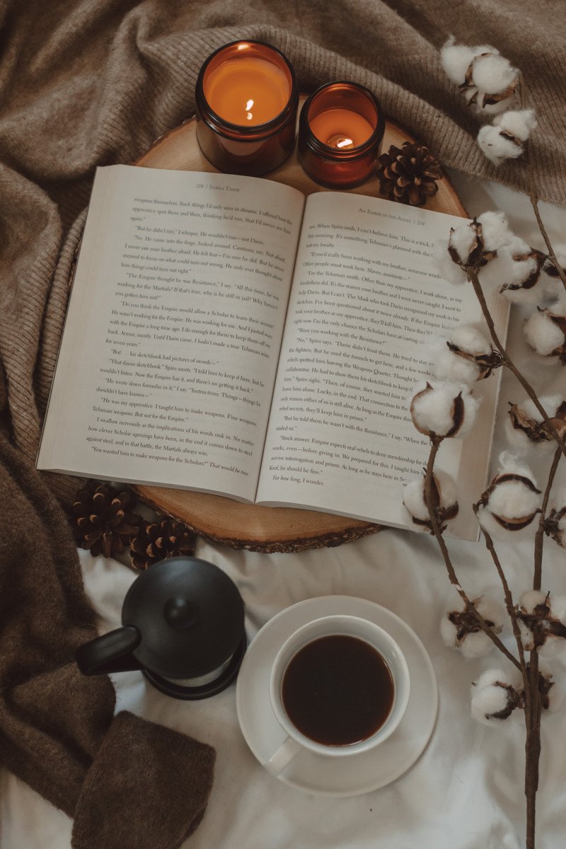 My 2023 Mid-Year Reading Check-In by The Espresso Edition cozy bookish blog