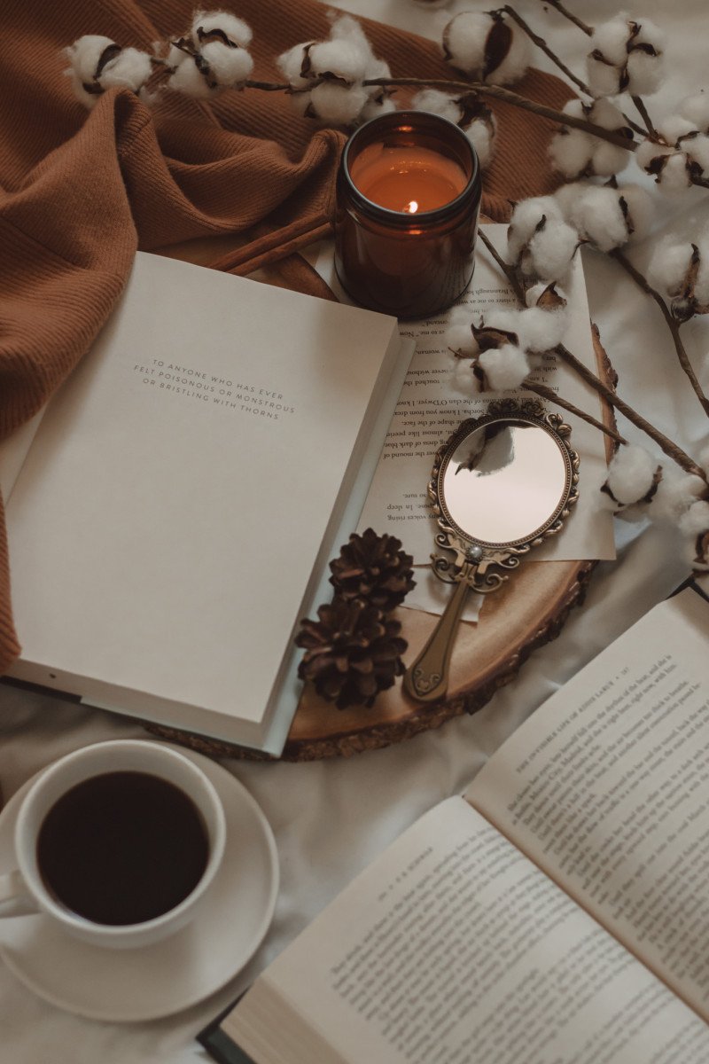My 2023 Mid-Year Reading Check-In by The Espresso Edition cozy bookish blog
