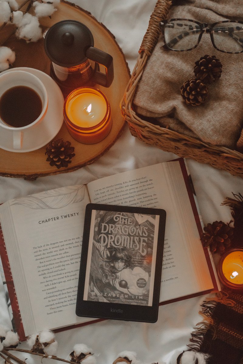 the dragon's promise book review