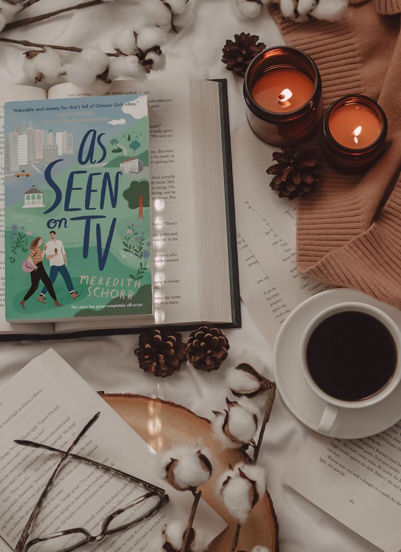 Book Review: As Seen on TV by Meredith Schorr