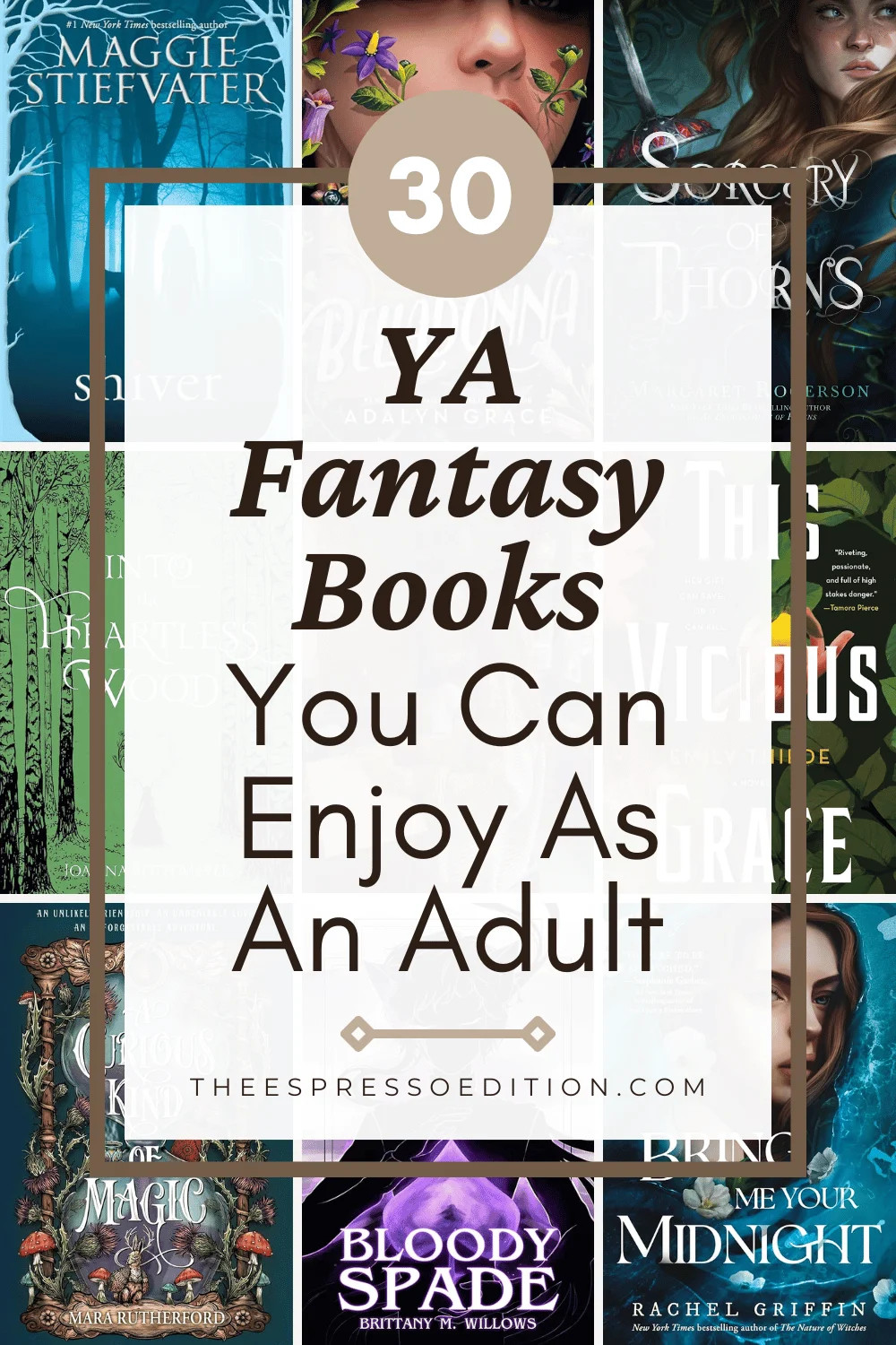 30 YA Fantasy Books You Can Enjoy As An Adult by The Espresso Edition cozy bookish blog