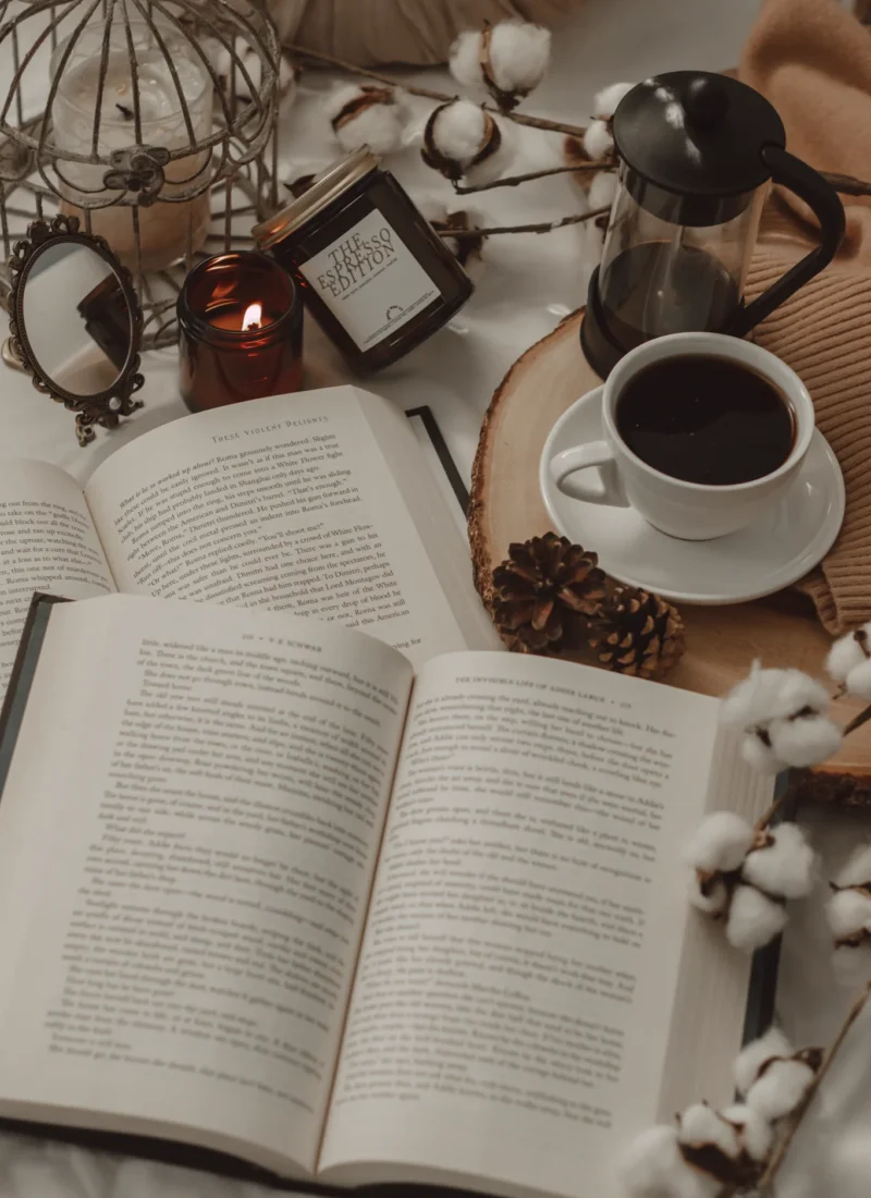 Have I Managed to Reach My 2024 Mid-Year Reading Goals? by The Espresso Edition cozy bookish blog