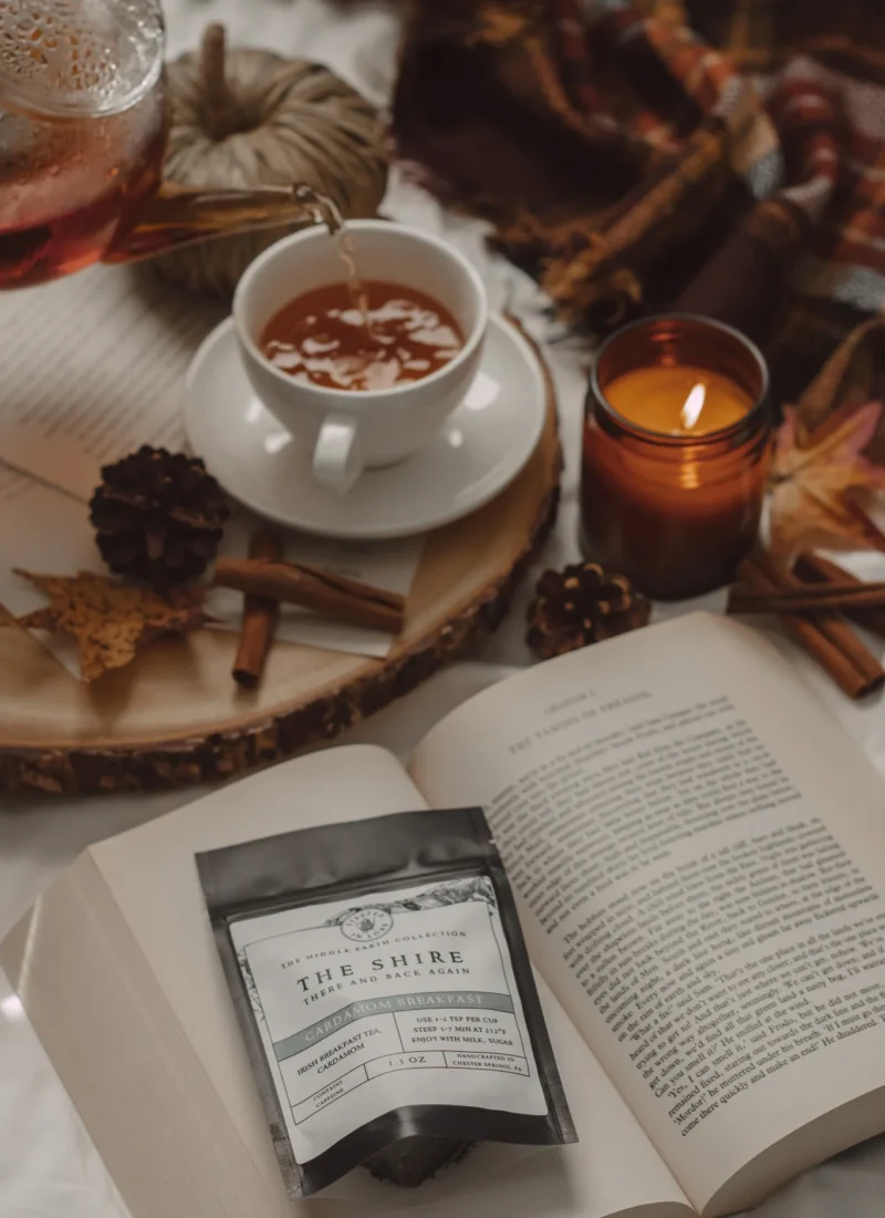 September 2024 New Book Releases by The Espresso Edition cozy bookish blog