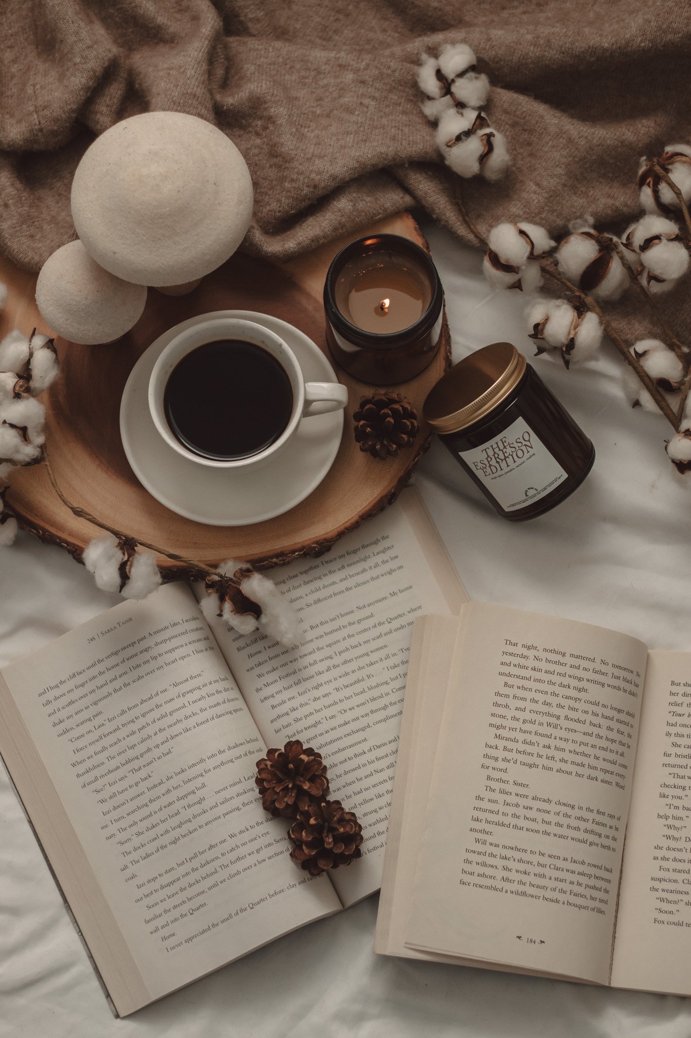 12 Mystery Books That Will Keep You Totally Hooked by The Espresso Edition cozy bookish blog