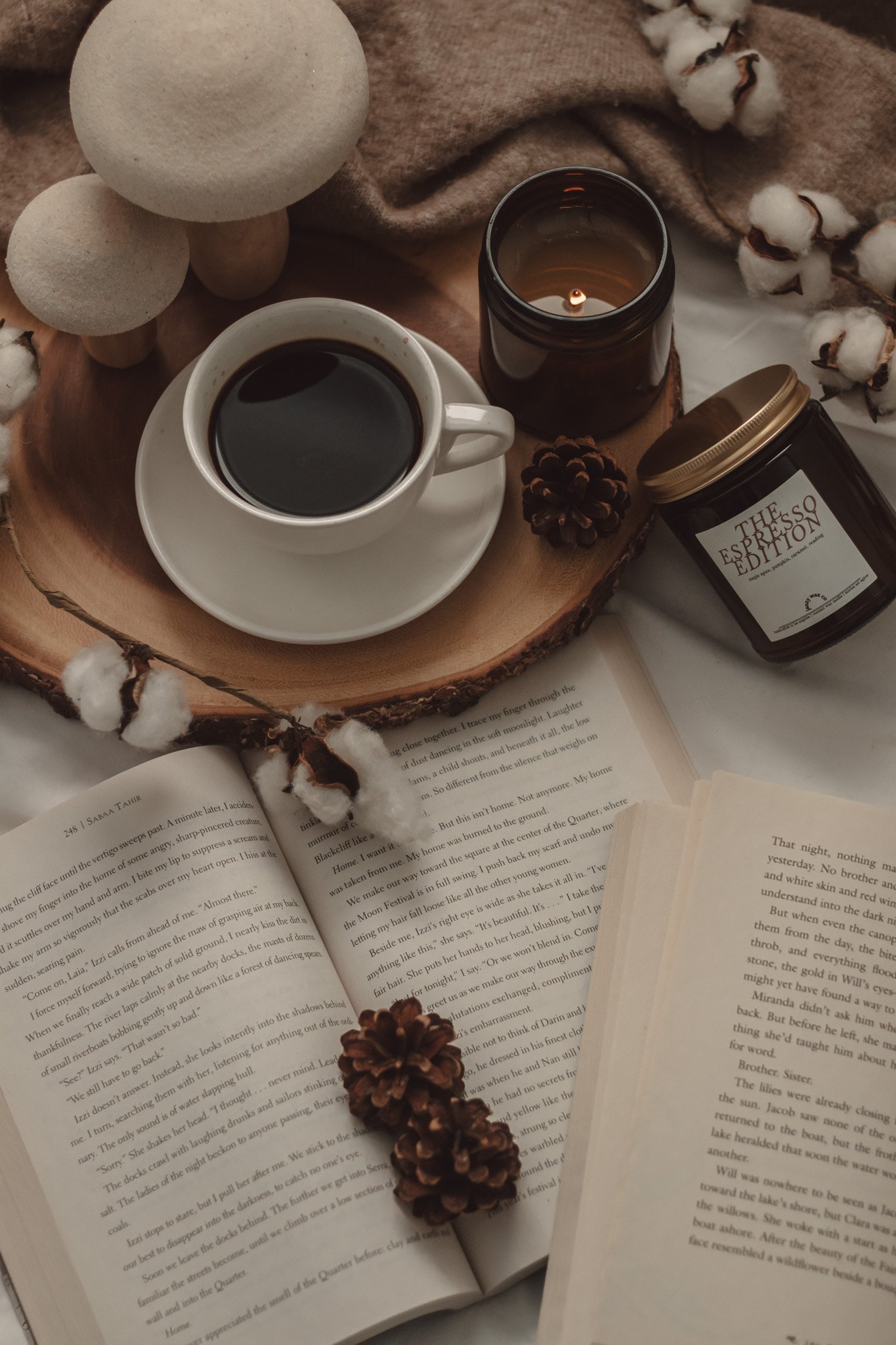 12 Mystery Books That Will Keep You Totally Hooked by The Espresso Edition cozy bookish blog