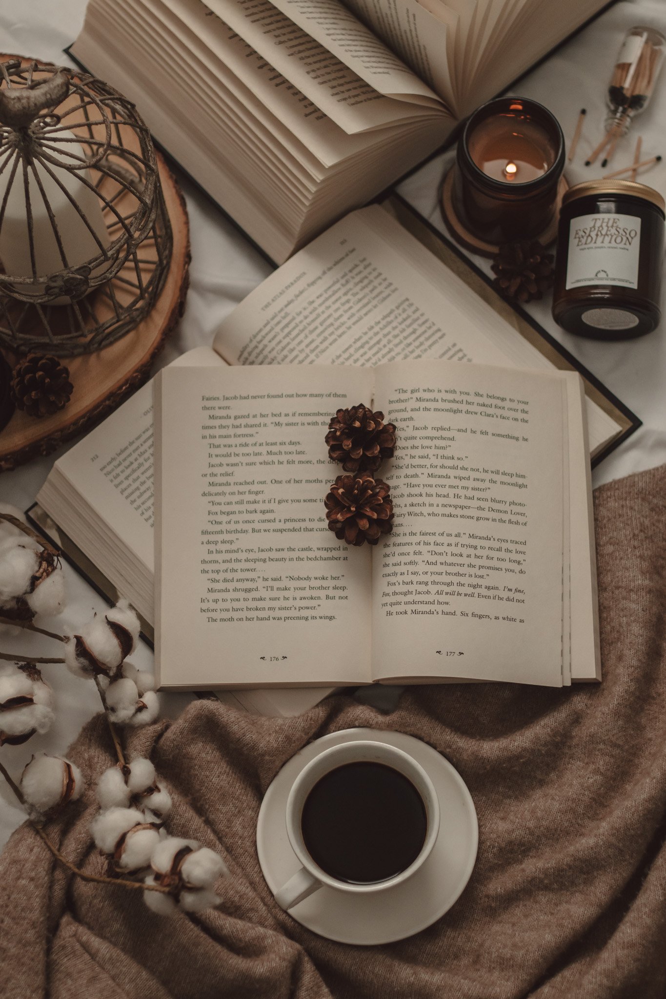 August 2026 New Book Releases by The Espresso Edition cozy bookish blog