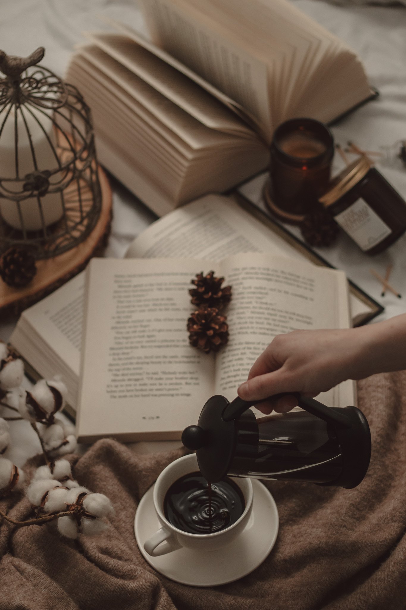 August 2026 New Book Releases by The Espresso Edition cozy bookish blog