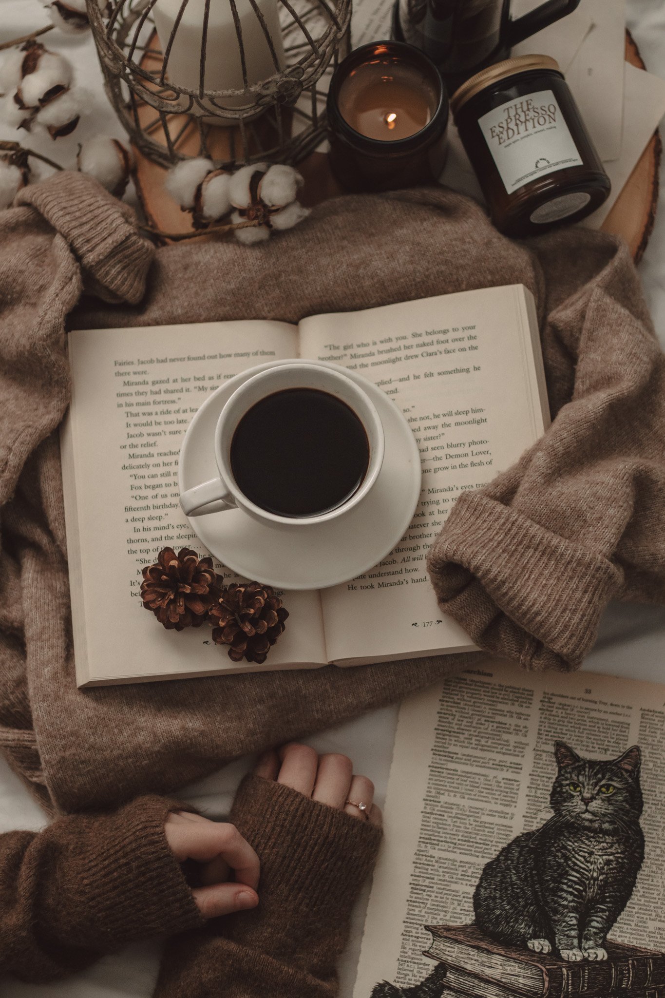 September 2026 New Book Releases by The Espresso Edition cozy bookish blog
