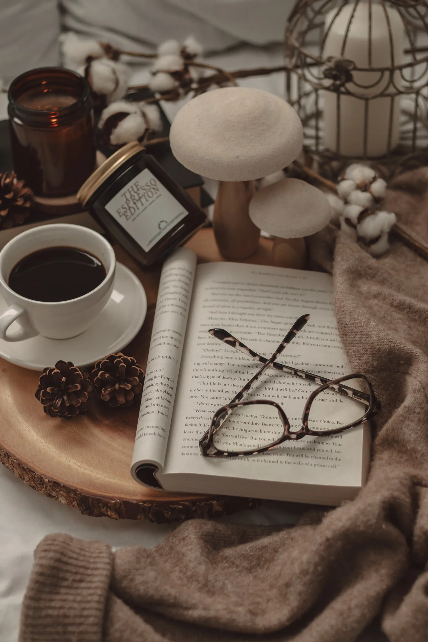October 2026 New Book Releases by The Espresso Edition cozy bookish blog