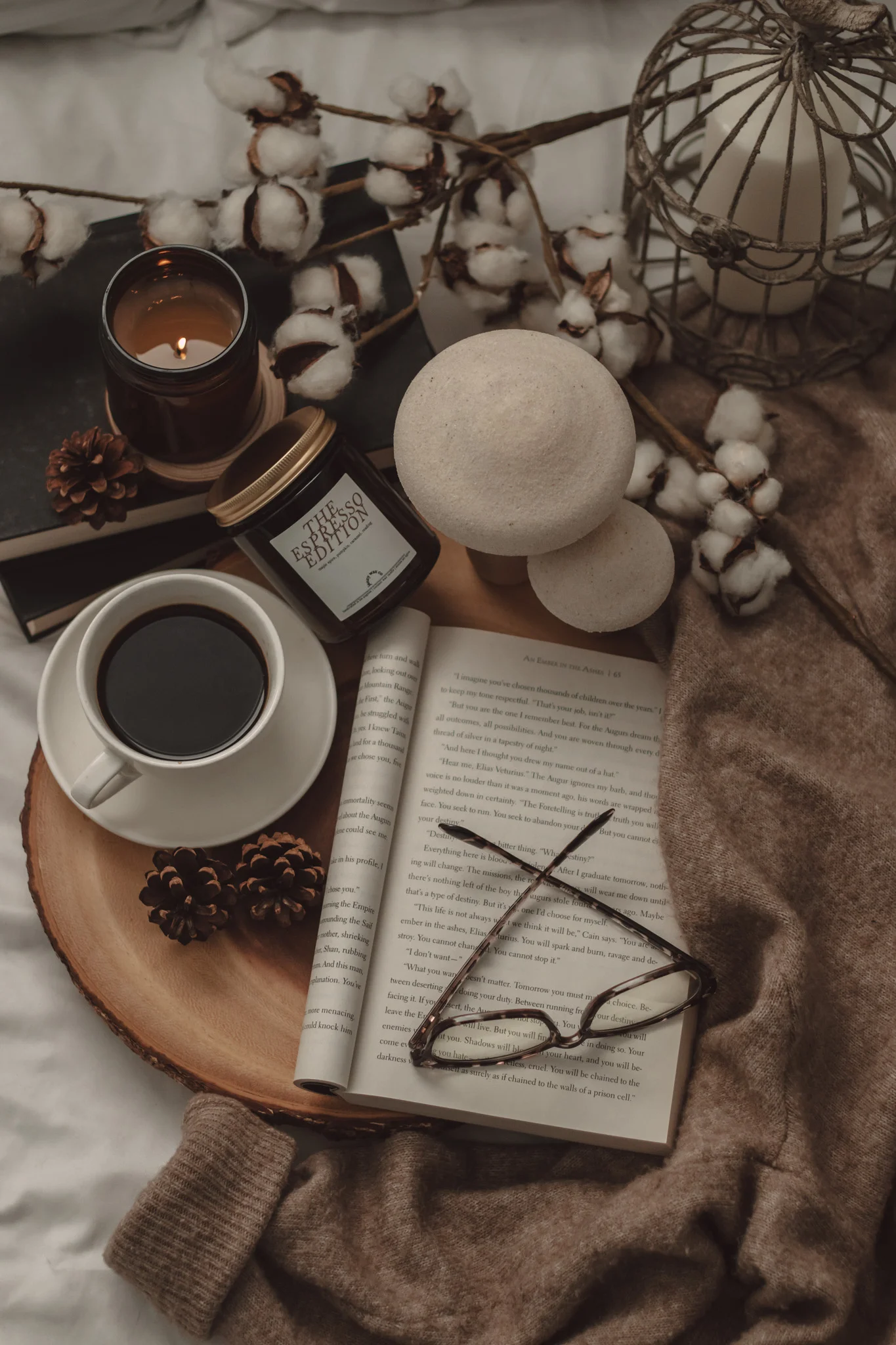 October 2026 New Book Releases by The Espresso Edition cozy bookish blog