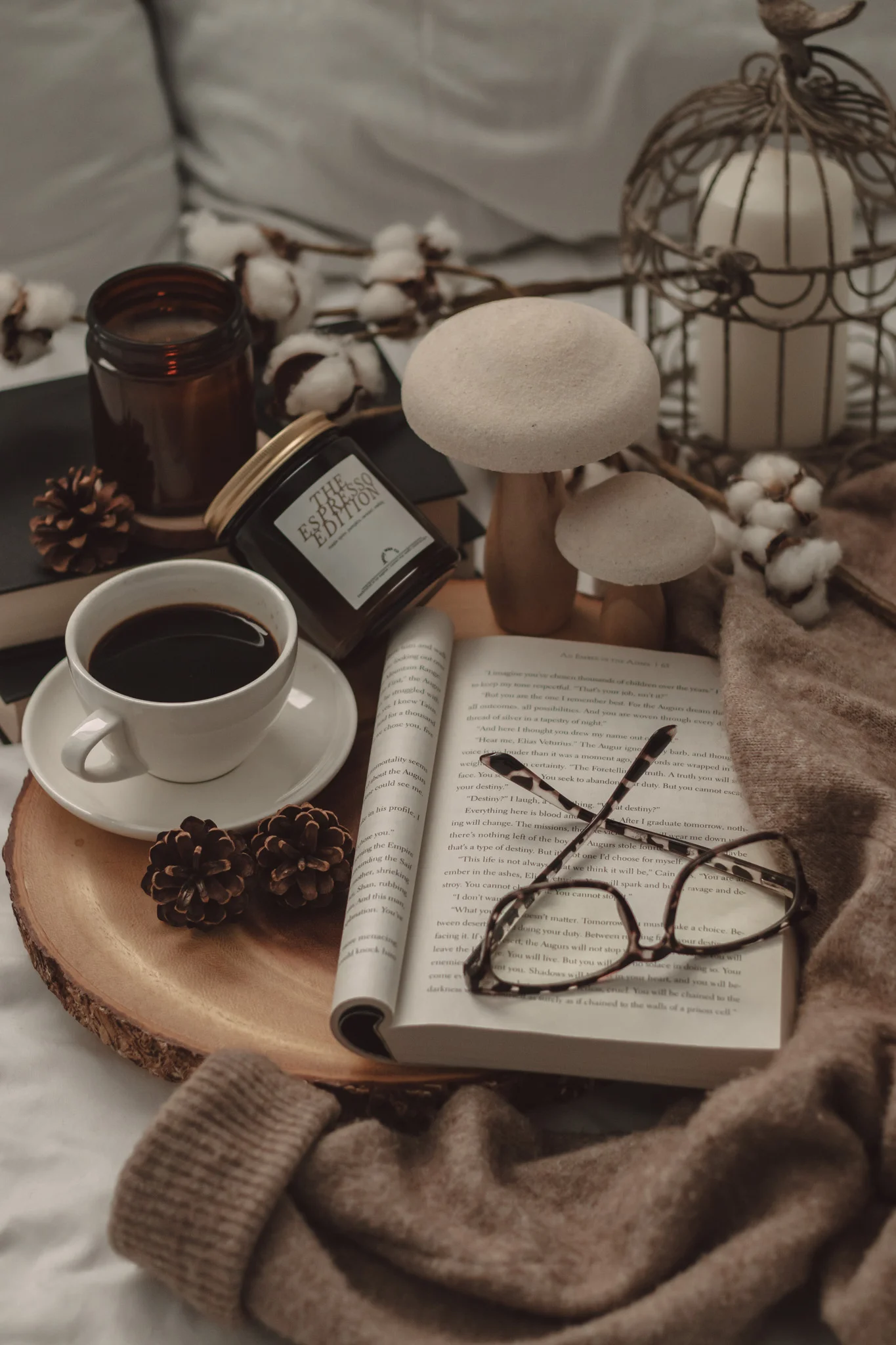 October 2026 New Book Releases by The Espresso Edition cozy bookish blog